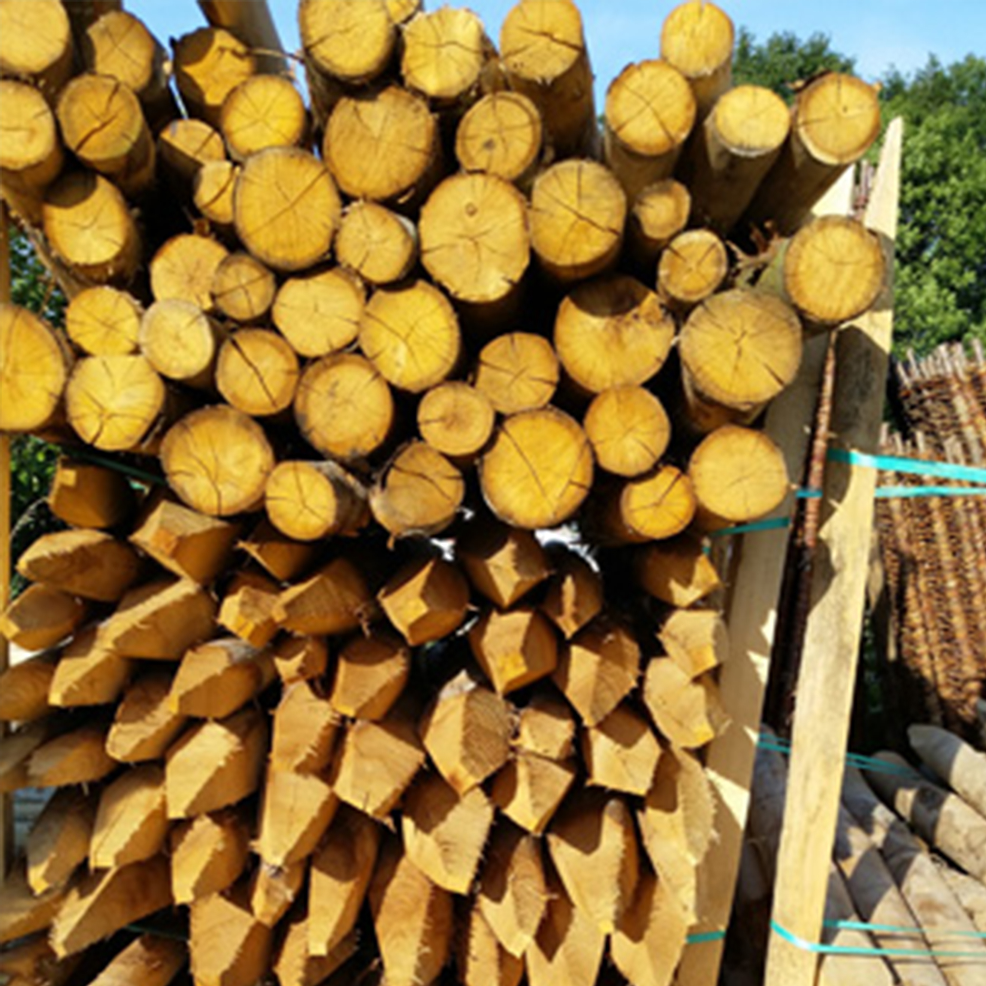 Kastanienholzpfosten 180cm/10-12cm Kastanienholzpfosten 180cm/10-12cm