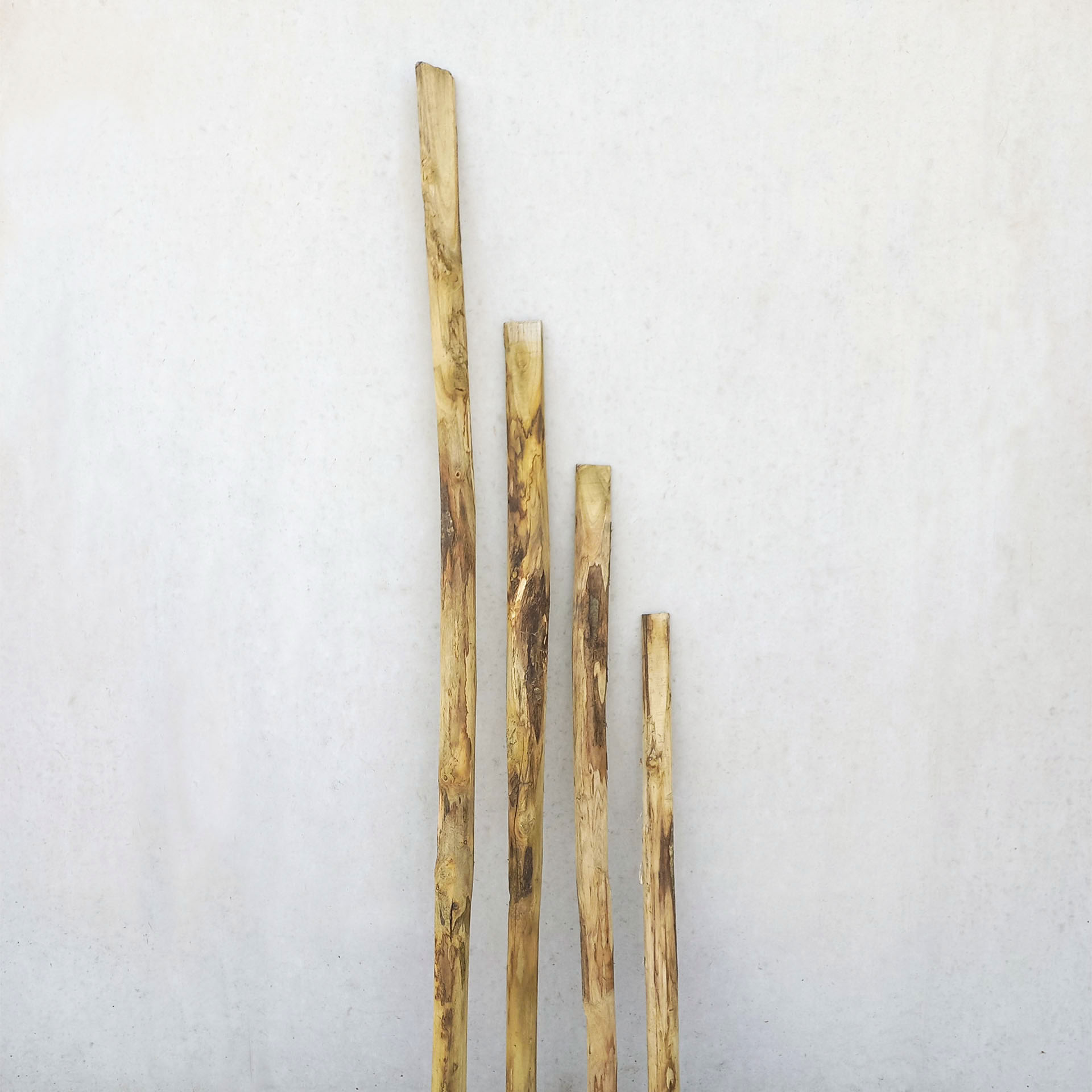 Einzelstaketen Edelkastanienholz, einseitig angeschrägt 1 Stk.