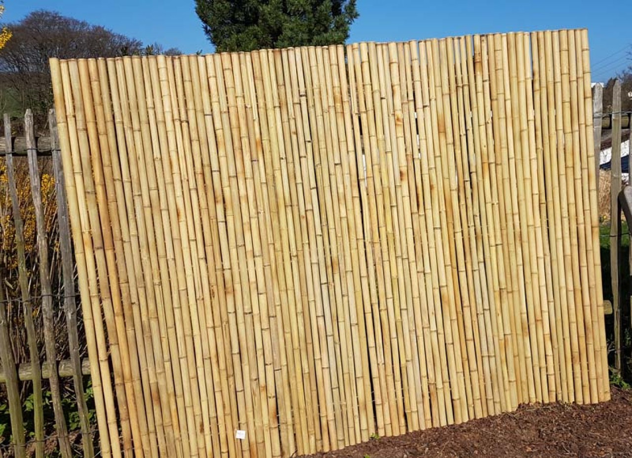 Bambus Rollzaun Jati nature 180 x 240cm Bambus Rollzaun Jati nature 180 x 240cm
